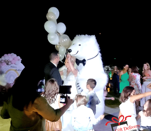 The White Polar Bear came to the wedding to deliver the gift to the bride and groom. Gift Delivery. Wedding gift. Polar bear surprise. White Polar Bear at the wedding.